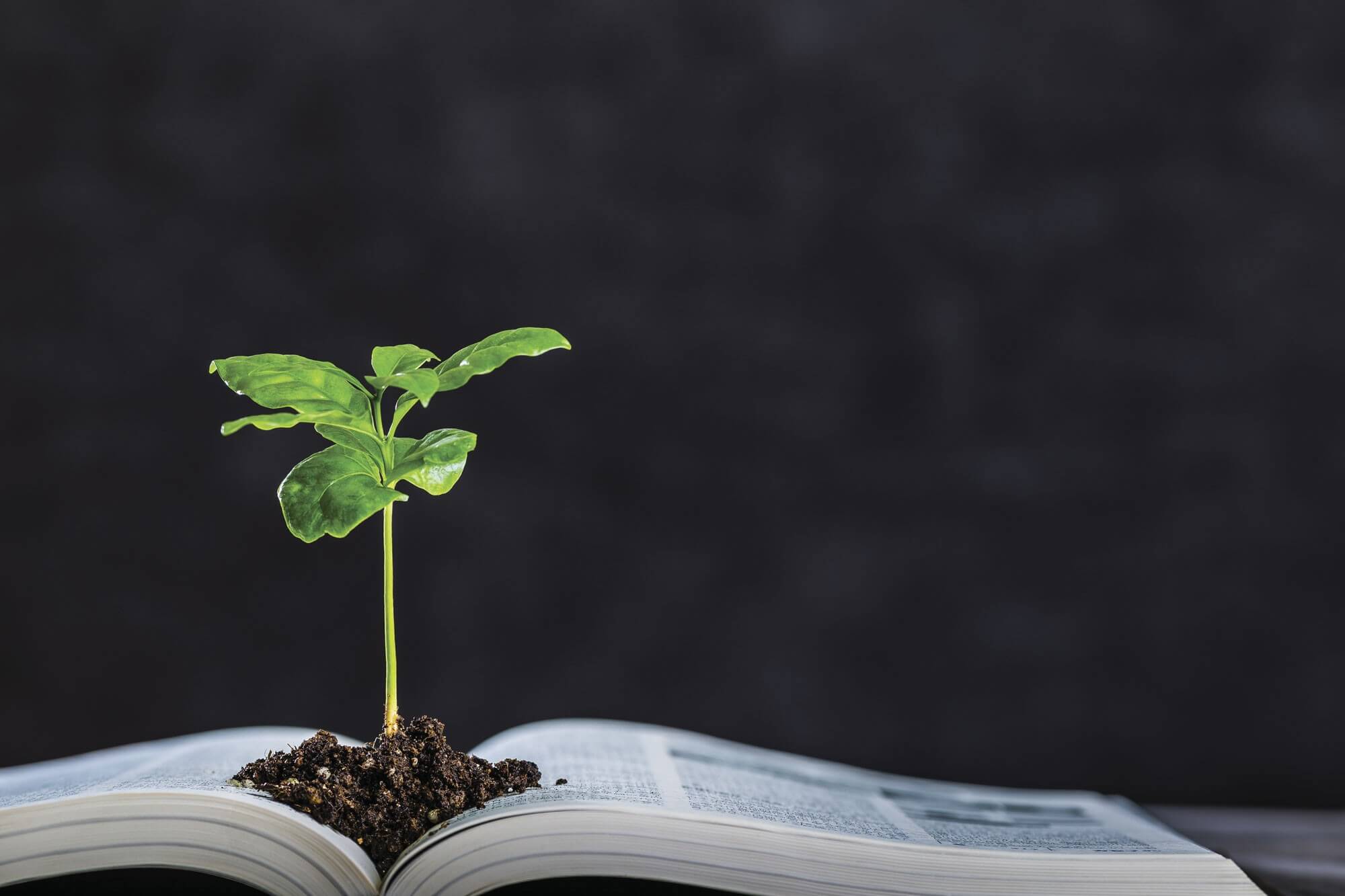  Docente Para  Educação Do Campo